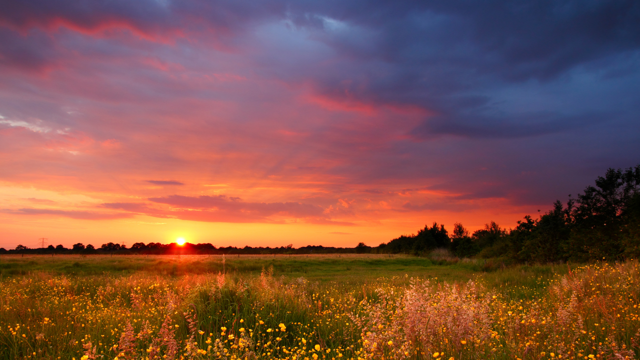 Renowned-Addiction-Treatment-Drug-Rehab-And-Alcohol-Addiction-Treatment-Near-Me-093.Png