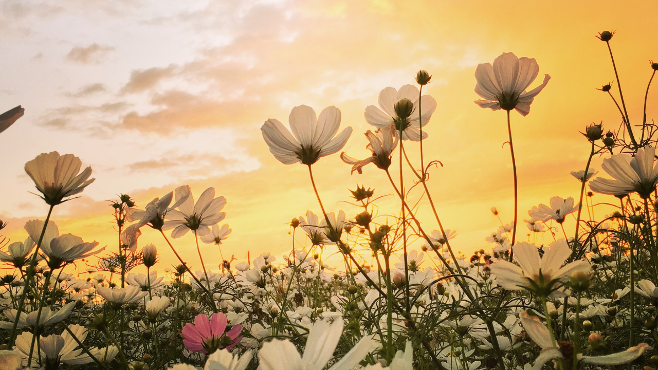 World-Class-Addiction-Treatment-Drug-Rehab-And-Alcohol-Addiction-Treatment-Near-Me-089.Png
