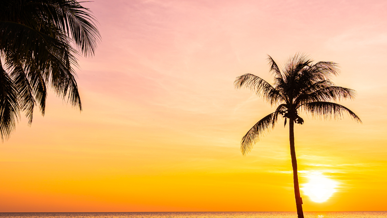 Premier-Addiction-Treatment-Drug-Rehab-And-Alcohol-Addiction-Treatment-Near-Me-045.Png