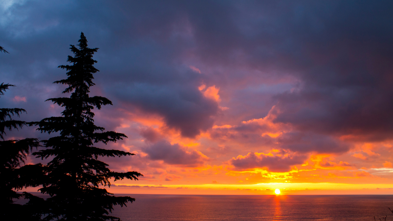 Superior-Addiction-Treatment-Drug-Rehab-And-Alcohol-Addiction-Treatment-Near-Me-008.Png