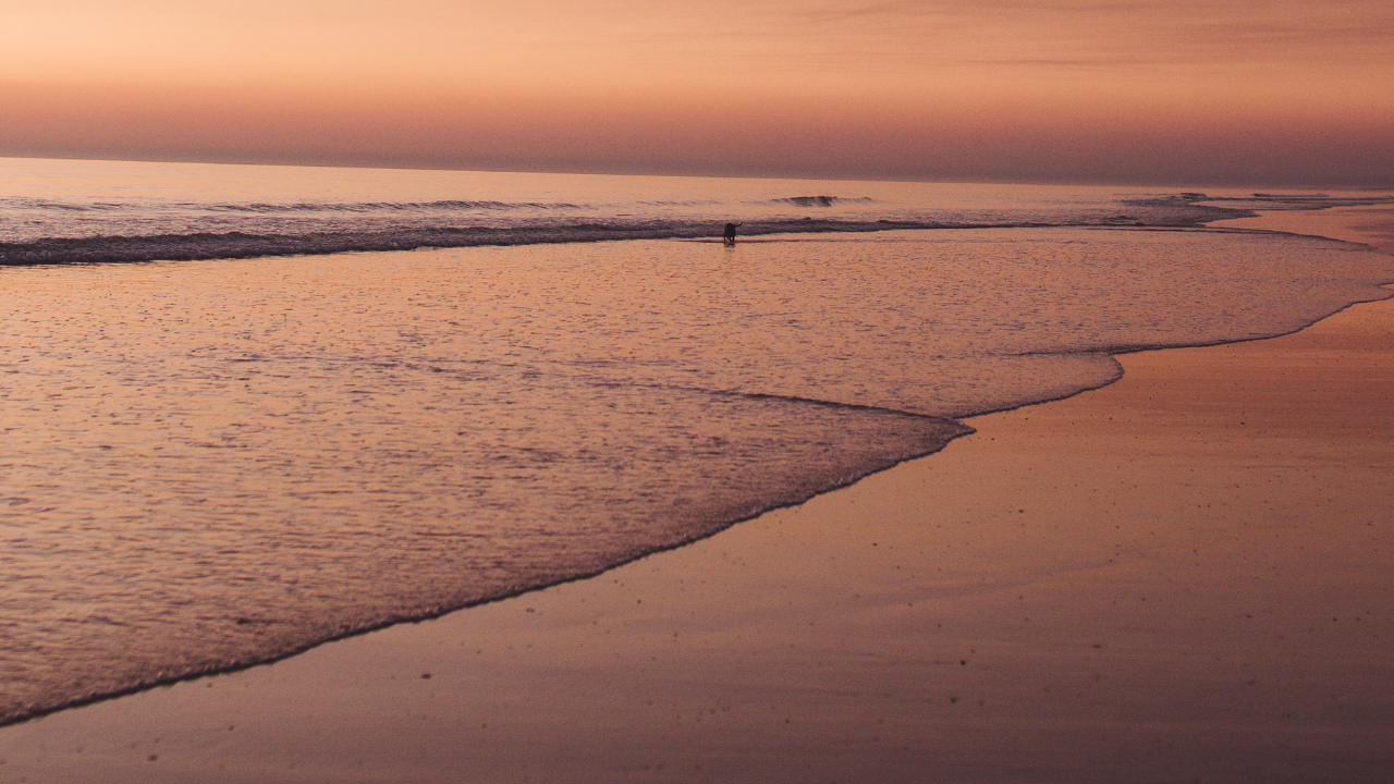 Unmatched Addiction Treatment Drug Rehab And Alcohol Addiction Treatment Near Me 048 - 7 Powerful Reasons Iop For Busy Professionals Works Wonders Unmatched-Addiction-Treatment-Drug-Rehab-And-Alcohol-Addiction-Treatment-Near-Me-048.Png