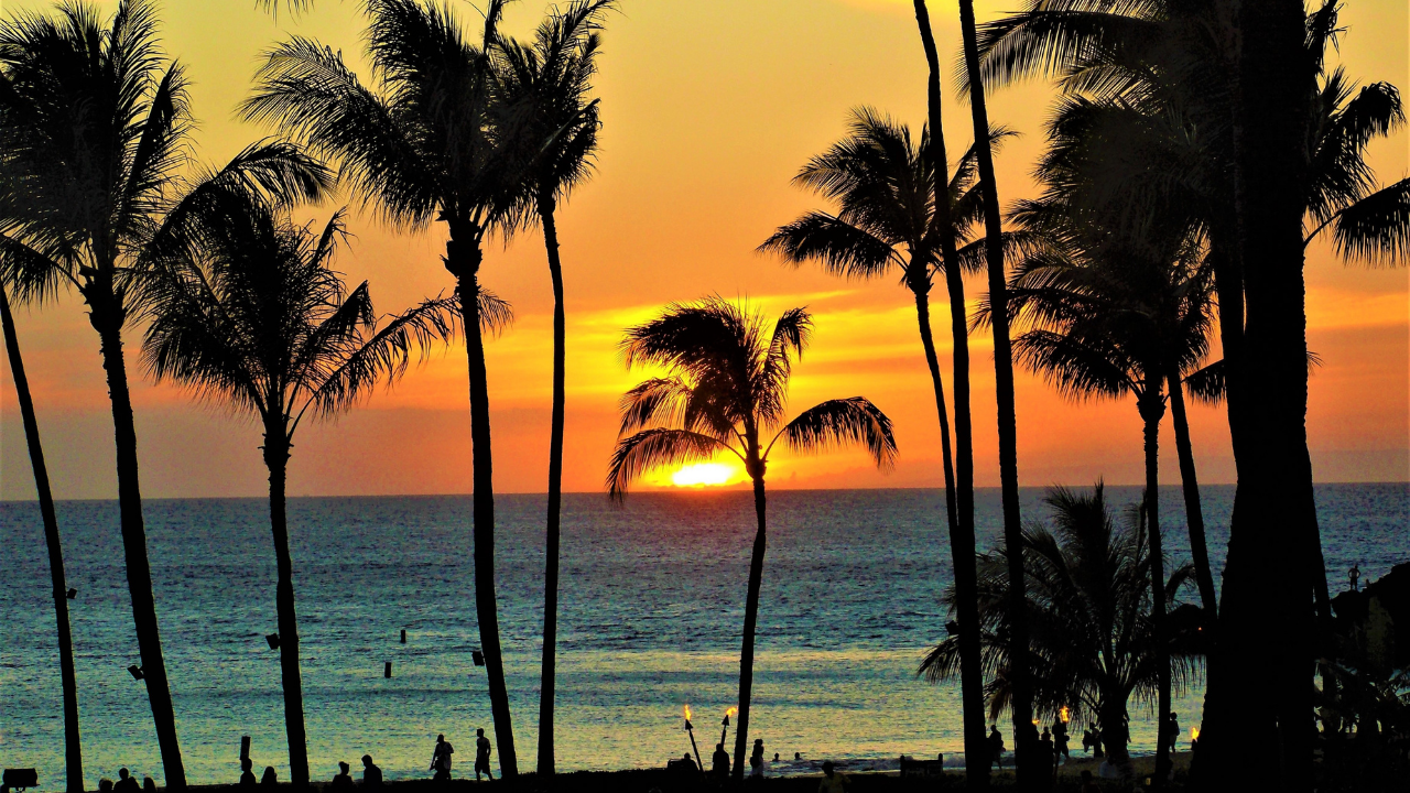 Elite-Addiction-Treatment-Drug-Rehab-And-Alcohol-Addiction-Treatment-Near-Me-066.Png